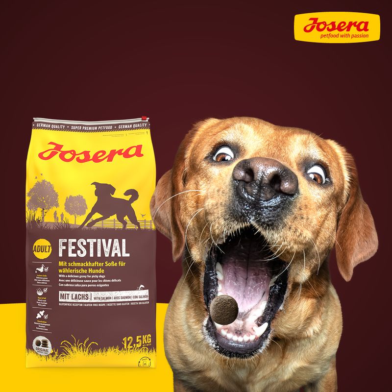 Josera Festival Dog Food