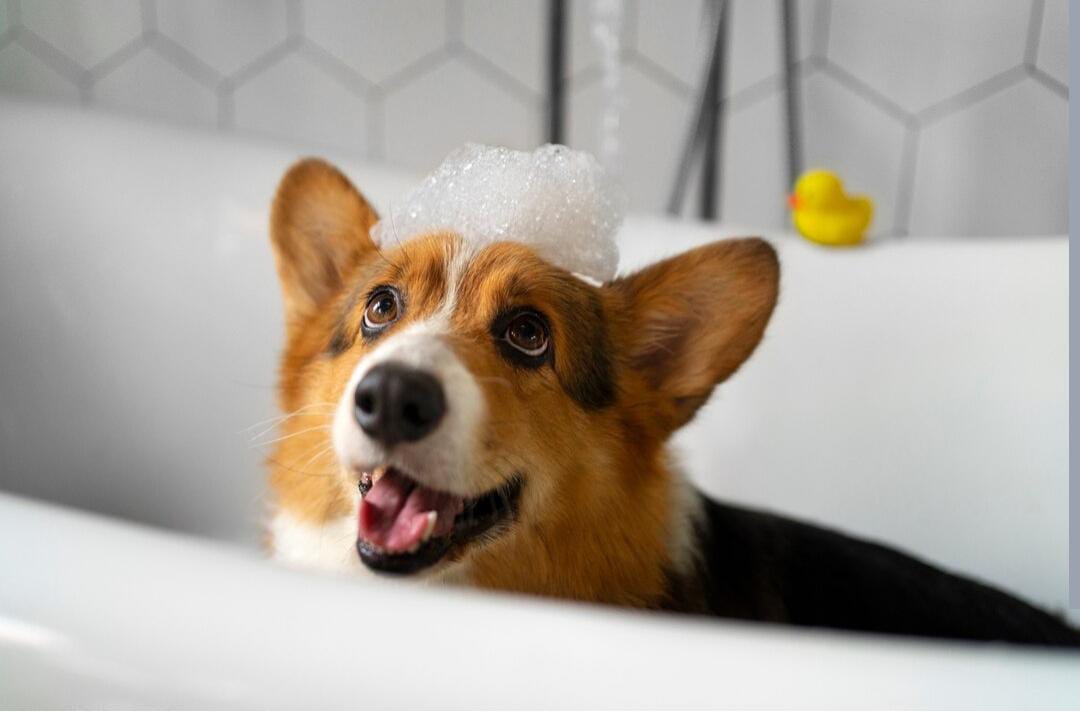 Bathing supplies