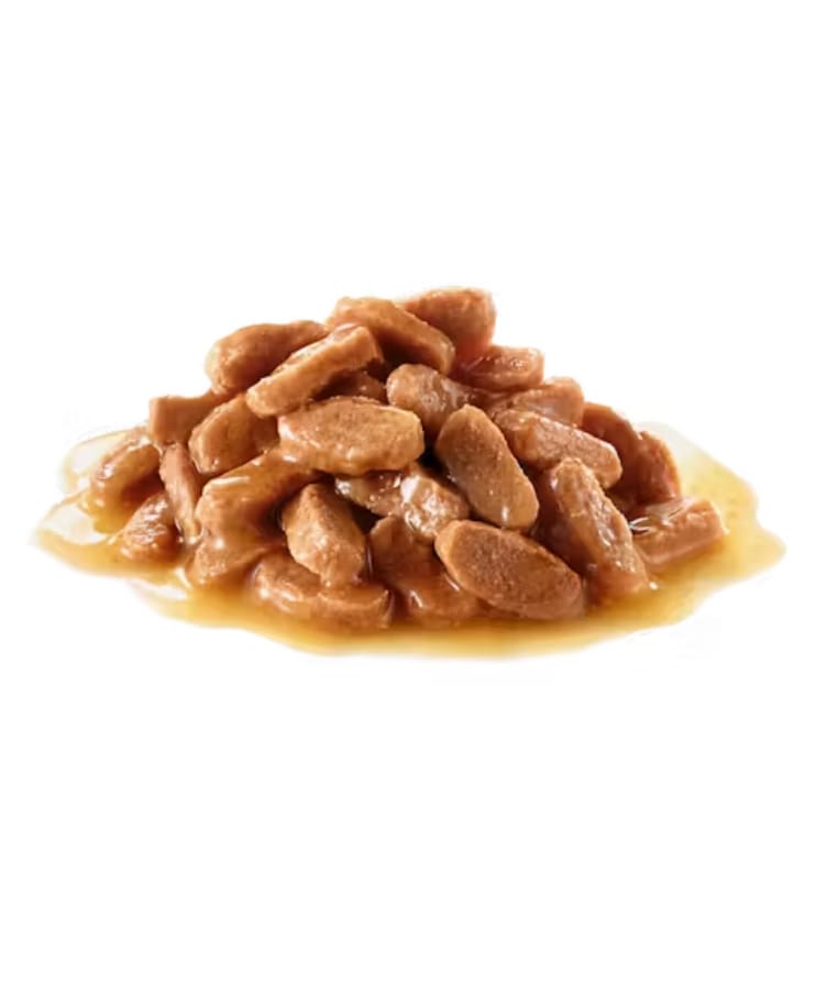 Royal Canin - Hairball Care in Gravy 85g