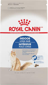 indoor longhair